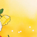 Marmalade Boy - Marmalade Boy Illustrations - 47
