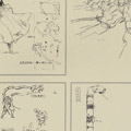 Yoji Shinkawa - The Art of Metal Gear Solid II - 69